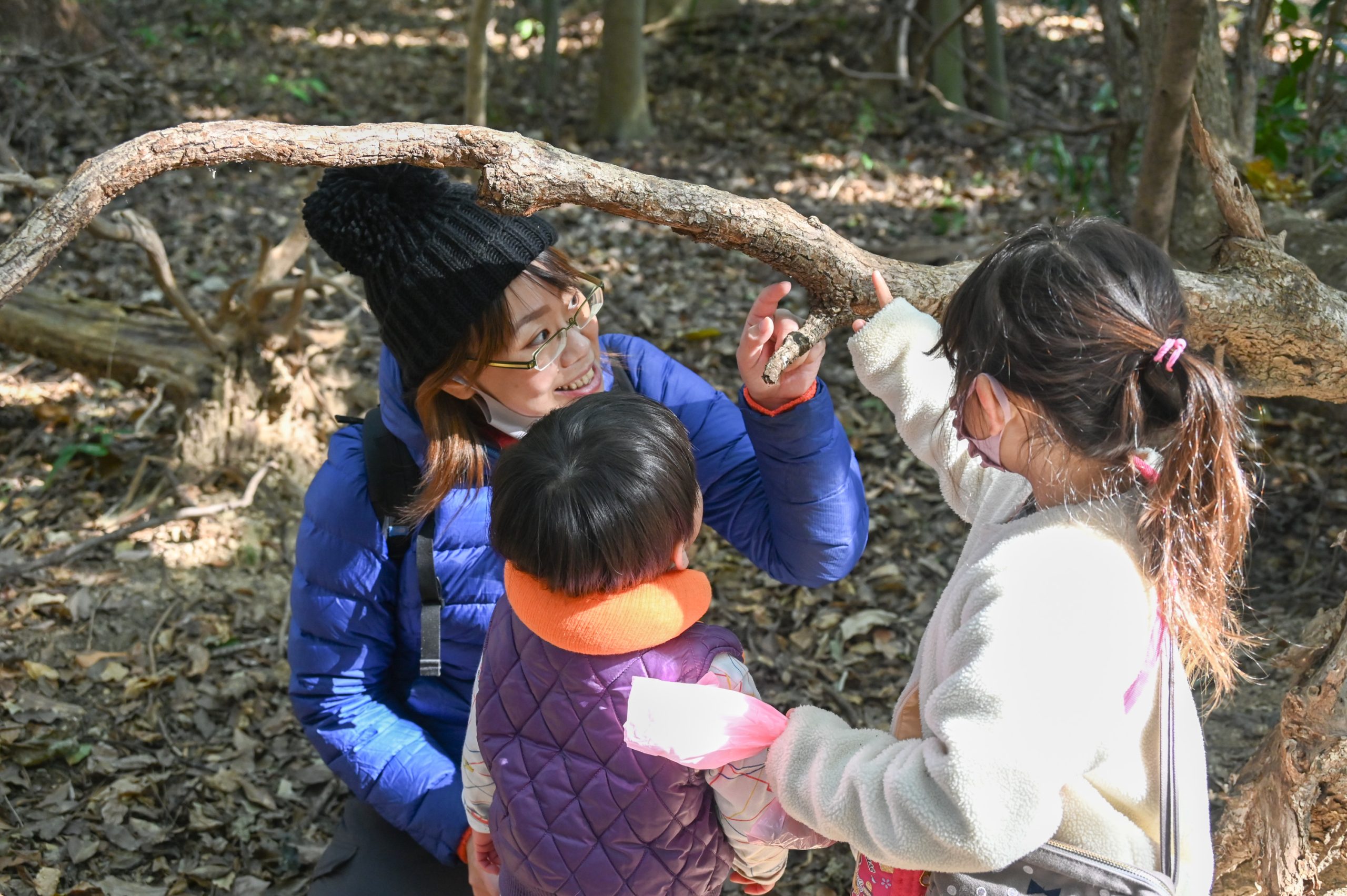 先生と子ども2人が木を見ている様子